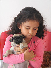 Como o seu filho pode ajudar a tomar conta de um pet