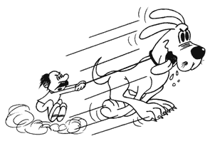 Qual o melhor tipo de coleira para o meu c&atilde;ozinho?