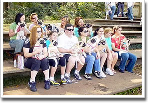 PUG NIC - Encontro de Pug´s